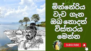 මින්නේරිය වැවMinneriya wewaol Al history [upl. by Delainey]