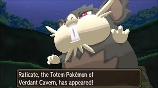 Pokemon Ultra Moon  Vs Totem Raticate Rematch Ilimas Normalium Z Post Game Quest [upl. by Notnert]