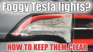 How to fix your fogged up Tesla tail lights [upl. by Olegnalehcim]