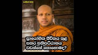 ප්‍රායෝගික ජීවිතය තුළ සතර සතිපට්ඨානය වඩන්නේ කොහොමද හසලක සීලවිමල හිමි hasalaka seelawimala thero [upl. by Bilak]