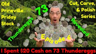 I Spent 20 Cash on 73 Thundereggs  Prineville amp Priday  Cut Carve amp Polish Series  Episode 6 [upl. by Moht687]