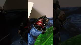 Обзор катушки Daiwa NINJA LT 2500 [upl. by Leonore]