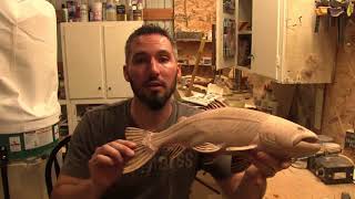 Carving a Trout Part 5 Scales amp Fin Placement [upl. by Ahselaf]