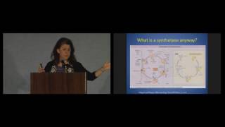 Antisynthetase Syndrome  Dr Lisa ChristopherStine 2016 Annual Patient Conference [upl. by Nahsor784]