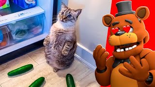 Funniest TikTok Animal Videos  Freddy Fazbear REACTS [upl. by Enitram711]