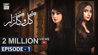 GuloGulzar  Episode 1  13th June 2019  ARY Digital Subtitle Eng [upl. by Cacia]