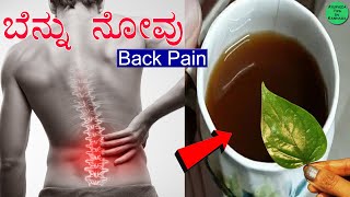 ಬೆನ್ನು ನೋವು ಸೊಂಟ ನೋವು ಯಾಕೆ ಬರೋದು Back Pain in Kannada  Back Pain Relief Home Remedies in Kannada [upl. by Topping]