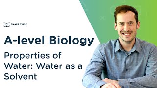 Properties of Water Water as a Solvent  Alevel Biology  OCR AQA Edexcel [upl. by Yaral]