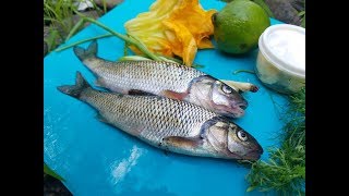 Creek Chubs Trash Fish Can You Eat Them Catch Clean Cook Taste Test [upl. by Aniloj]