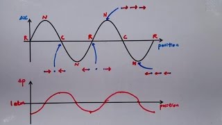 933 Graphical Representation of Wave Compression and Rarefaction [upl. by Namijneb]