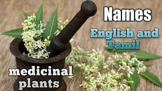 Medicinal plants and its names  English and Tamil [upl. by Artenra]