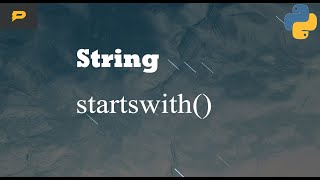 Python String  startswith [upl. by Cid958]