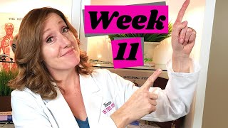 Baby Ultrasound Week 11 Plus Baby Development and Pregnancy Symptoms [upl. by Latia]