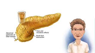 FISIOPATOLOGÍA DE LA PANCREATITIS [upl. by Tarrel]