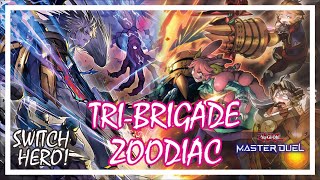 TRIBRIGADE ZOODIAC POST MIGHTY CONTENDERS YuGiOh Master Duel zoodiac tribrigade masterduel [upl. by Hamer987]