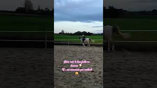 Gagne un tapis Horse République 🎁🦄💗cheval horse poney [upl. by Argile]