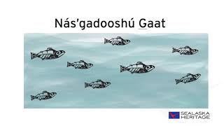 Learn the Numbers in the Tlingit Language [upl. by Drol]