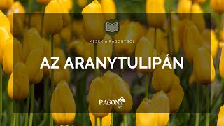 Az aranytulipán  Magyar Népmesék  Mesék a Pagony Vendégházakból [upl. by Mihalco]