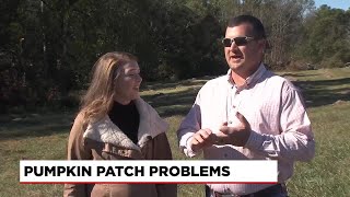 Upstate farm asks community to support local pumpkin patch [upl. by Nebra]