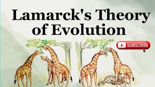 Lamarcks Theory of Evolution  Lamarckism  Biology Topics  Mahnoor Imran [upl. by Naitsirhk]