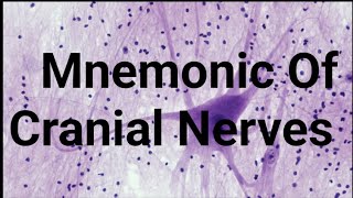 Cranial Nerves Mnemonic Sensory Motor And Mix nerves nandanio4t [upl. by Ainehs860]