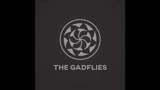 The Gadflies  Beyond [upl. by Chyou]