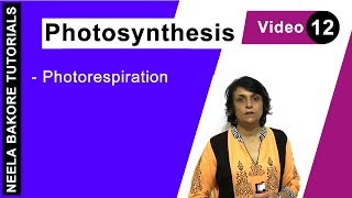 Photosynthesis  NEET  Photorespiration  Neela Bakore Tutorials [upl. by Heath181]