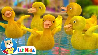 Five Little Ducks  Nursery Rhymes amp Kids Songs  IshKids [upl. by Ontina325]