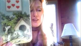 Beginner Lenormand Class Basic OneCard Meanings [upl. by Nomzzaj]