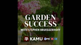 Garden Success – 10102024 QampA With Stephen Brueggerhoff  YouTube Music [upl. by Imorej]