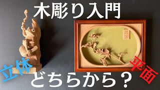 木彫り始めるなら立体、平面、どっちがお得？ よくある質問を検証【木彫り 初心者さん必見23】【wood carving】 [upl. by Cchaddie]