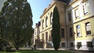 Le Bachelor en sciences économiques  Université de Neuchâtel [upl. by Henrietta]