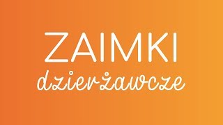 4 ZAIMKI DZIERŻAWCZE  hiszpańska gramatyka [upl. by Eldrida]