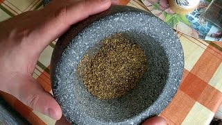 Making Mustard Condiment From Wild Garlic Mustard Seeds [upl. by Bevash]