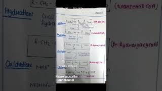 Beta oxidation of fatty acid palmitic acid biochemistry notes unit 3 biochemistry fattyacids [upl. by Brottman]