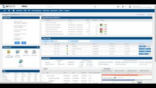 NetSuite Project Dashboard Demo [upl. by Tshombe]