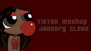 TIKTOK MASHUP JANUARY 2024 CLEAN [upl. by Eeliram]