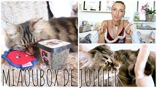 MIAOUBOX de JUILLET  Friandises aux olives  RETARD [upl. by Fedirko]