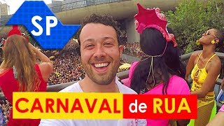 VALE A PENA curtir o CARNAVAL DE RUA de São Paulo [upl. by Londoner]