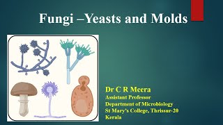 Fungi  Yeast and Molds  Dr C R Meera [upl. by Sosthenna988]