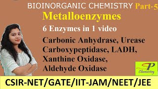 Metalloenzymes  Carbonic Anhydrase  Urease  Carboxypeptidase  LADH  Xanthine amp Aldehyde Oxidase [upl. by Anyzratak]