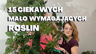 15 mało wymagających CIEKAWYCH i łatwych w uprawie ROŚLIN DOMOWYCH Rośliny dla początkujących [upl. by Azitram]