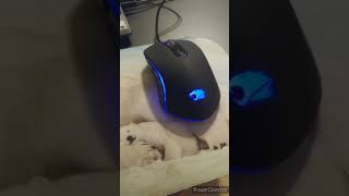 ARES M2 mouse review [upl. by Dyann]