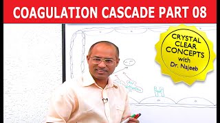 Coagulation Cascade  Part 812 [upl. by Claude934]