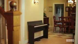 Korg LP380 Digital Piano A pure piano experience with style to fit any space [upl. by Alik]