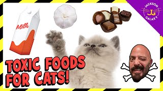 FOODS THAT ARE TOXIC TO CATS [upl. by Ecnedurp]