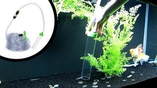 How To Clean Sand Aquarium Substrate [upl. by Hanima]