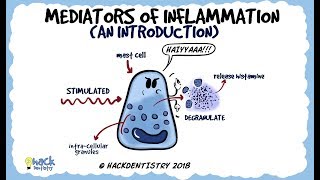 Mediators of Inflammation An Introduction [upl. by Martica]