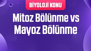 Mitoz Bölünme vs Mayoz Bölünme Karşılaştırma [upl. by Hesper674]