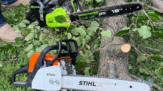 Stihl vs Greenworks chainsaw comparison [upl. by Laurent]